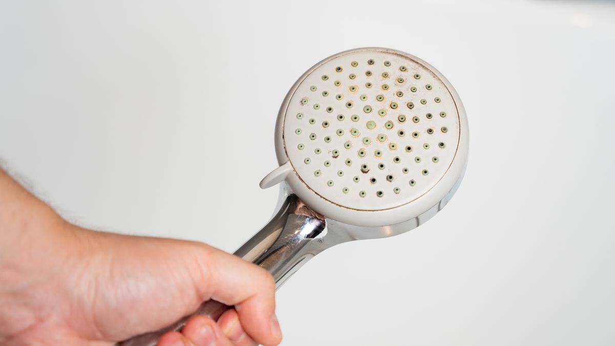 Hand holding an old shower head with its holes closed up by hard scale